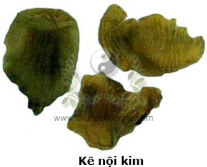 màng mề gà, kê nội kim