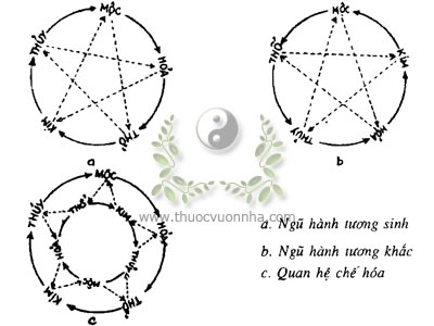 ngũ hành tương tinh tương khắc, tương sinh, tương khắc, chế hóa