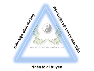 tam giác tuổi thọ