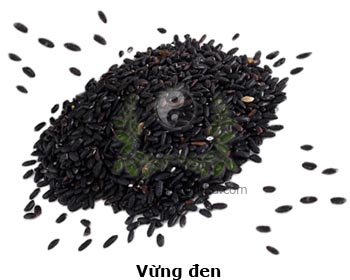 vừng, vừng đen