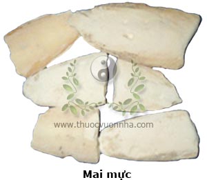 mai mực, hải phiêu tiêu, ô tặc cốt