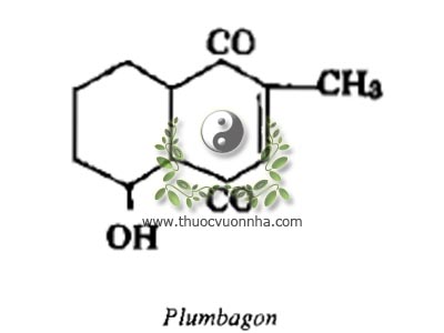 plumbagin, plumbagon, ophloxylin, mytyl-2-juglon, metyl-2-hyddroxy-5-naphtoquinon-1-4