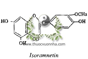 isoramnetin, C16H12O7