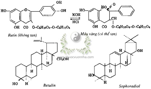 cay hoa hoe, Rutin, Betulin, Sophoradiol