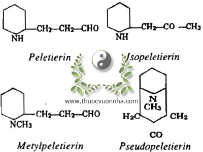 Peletierin, Isopeletierin, Metylpeletierin, Pseudopeletierin