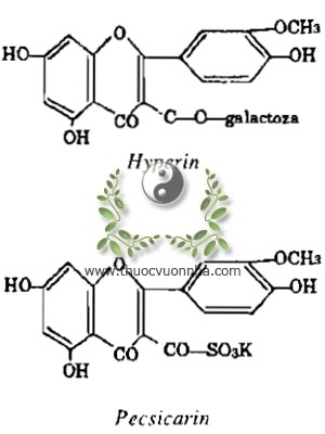 hyperin, C21H20O12, pecsicarin, C16H11O7SO3K