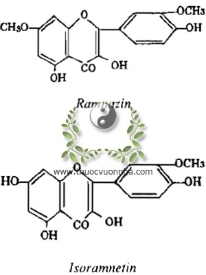 ramnazin, isoramnetin