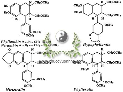 Phyllathin, Niranthin, Hypophyllanthin, Nirtetralin, Phylteralin