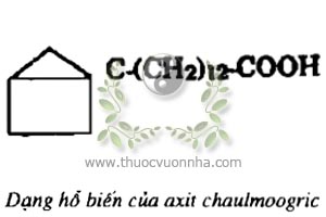 dạng hỗ biến của axit chaulmoogric