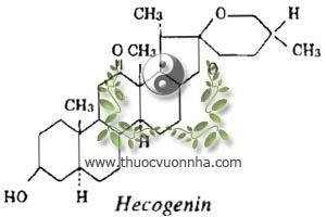 hecogenin