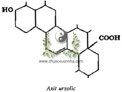 axit ursolic, C30H48O3