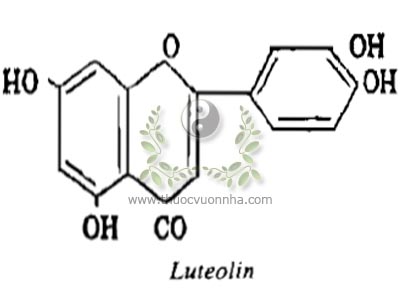 luteolin