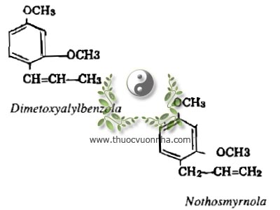 Dimetoxyalylbenzola, Northosmyrnola