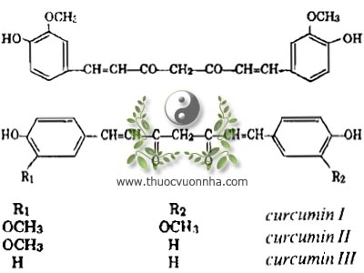 curcumin