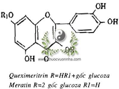 queximeritrin, meratin