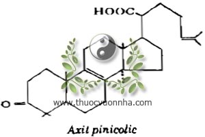 axit pinicolic