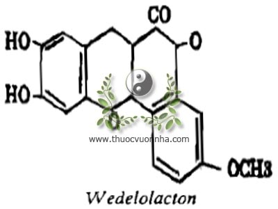 wedelolacton, C16H10C7