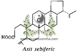axit sebiferic, C30H48O2