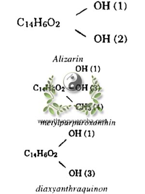 thiến thảo, Alizarin, Metylpurpuroxanthin, Dioxyanthraquinon