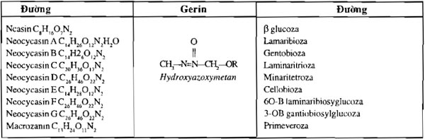 hydroxyazoxymetan