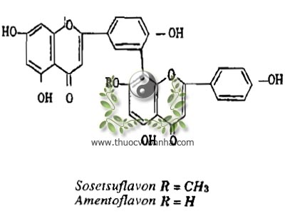 sosetsuflavon, C31H20O10, amentoflavon, C30H18O10