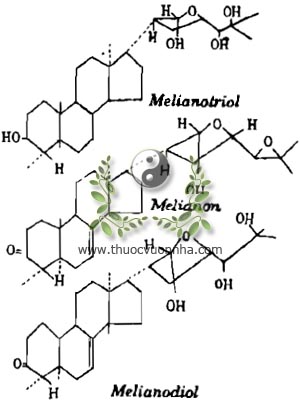 Melianotriol, Melianon, Melianodiol